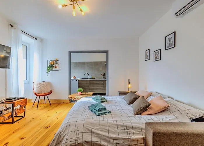 Grand T3, Climatise, Calme, Centre Ville, Parking, 